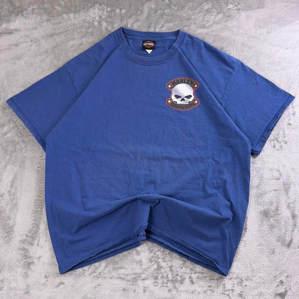 Harley-Davidson Men’s XL Blue Skull T-Shirt Grand Teton Idaho Falls Biker